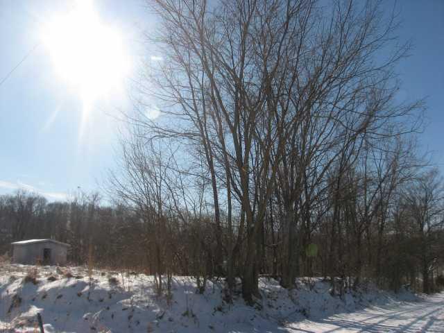 7000 Lower Cliff Road Poland, IN 47868 - Photo 4 of 12 Gallery Image 4