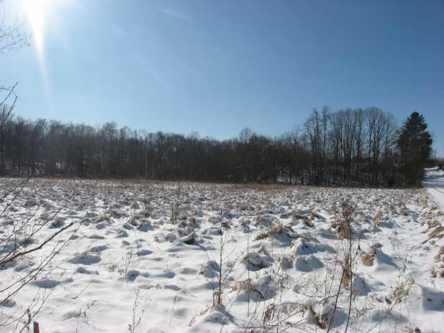 7000 Lower Cliff Road Poland, IN 47868 - Photo 5 of 12 Gallery Image 5
