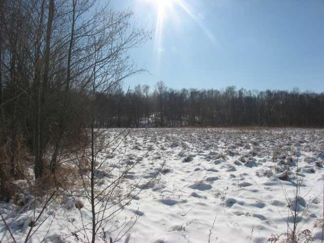 7000 Lower Cliff Road Poland, IN 47868 - Photo 6 of 12 Gallery Image 6