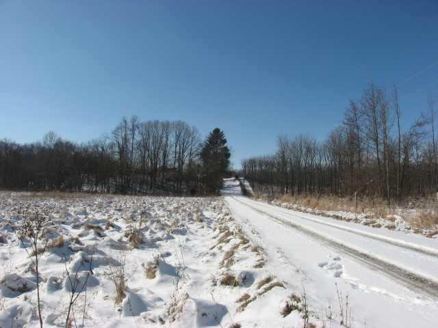 7000 Lower Cliff Road Poland, IN 47868 - Photo 7 of 12 Gallery Image 7