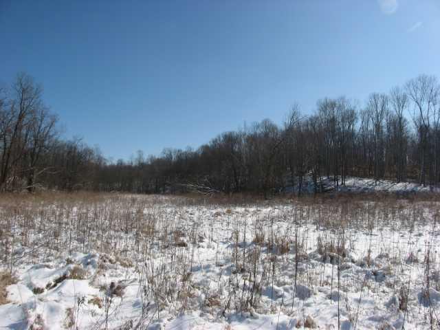 7000 Lower Cliff Road Poland, IN 47868 - Photo 8 of 12 Gallery Image 8