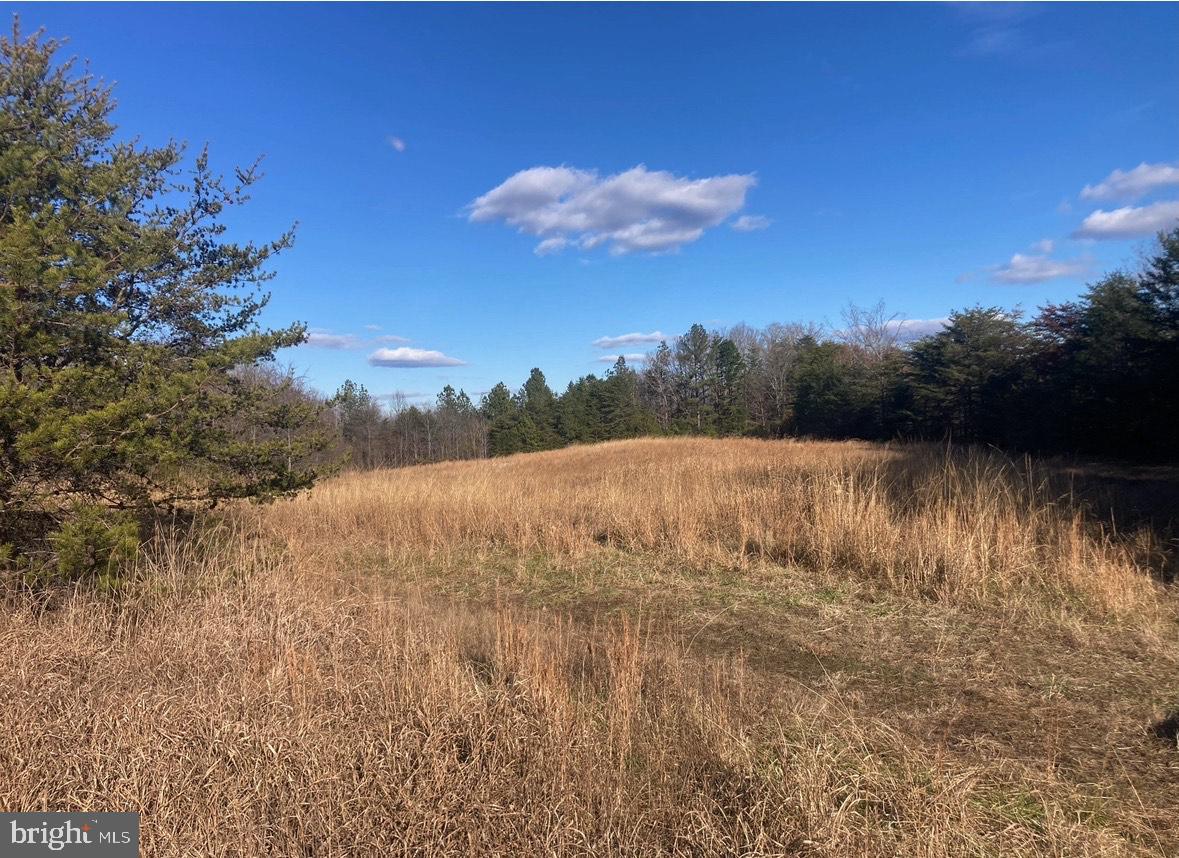 5049 Clover Road Randolph, VA 23962 - Photo 2 of 5