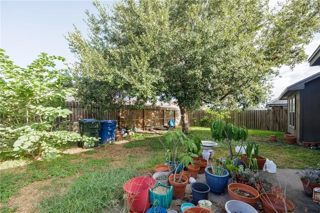 a view of a backyard with potted plants and large trees