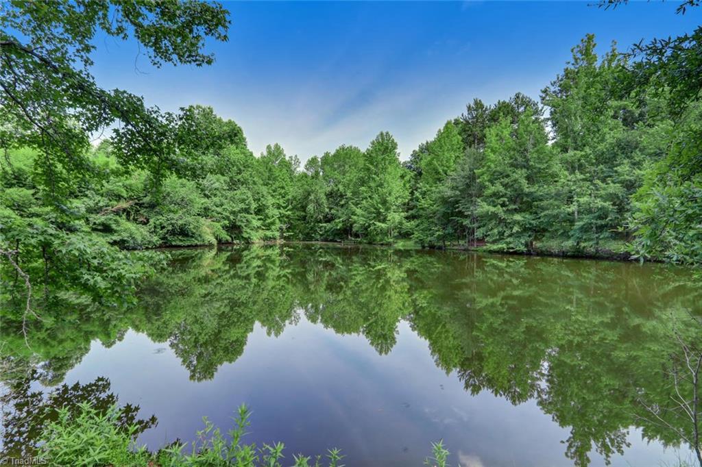 3389 Wayne White Road Climax, NC 27233 - Photo 29 of 30 Pond in back yard