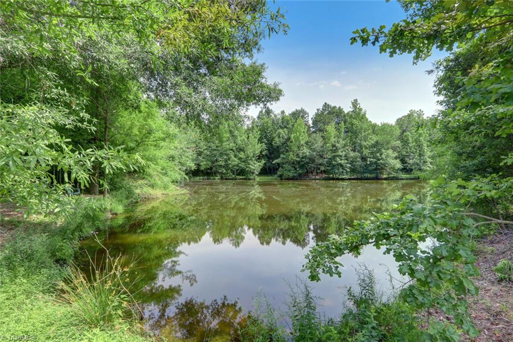 3389 Wayne White Road Climax, NC 27233 - Photo 30 of 30 Pond