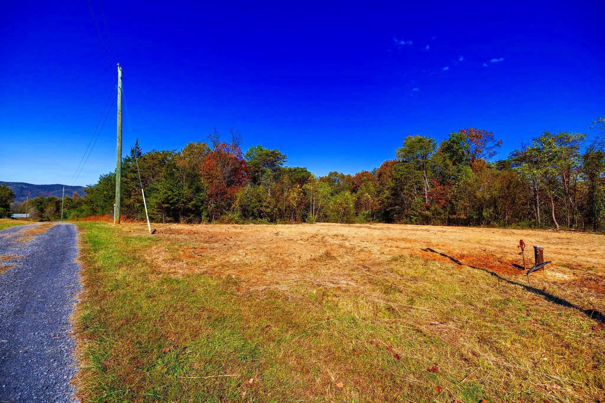 Lot 2 Young Road Stanley, VA 22851 - Photo 1 of 20 Gallery Image 1