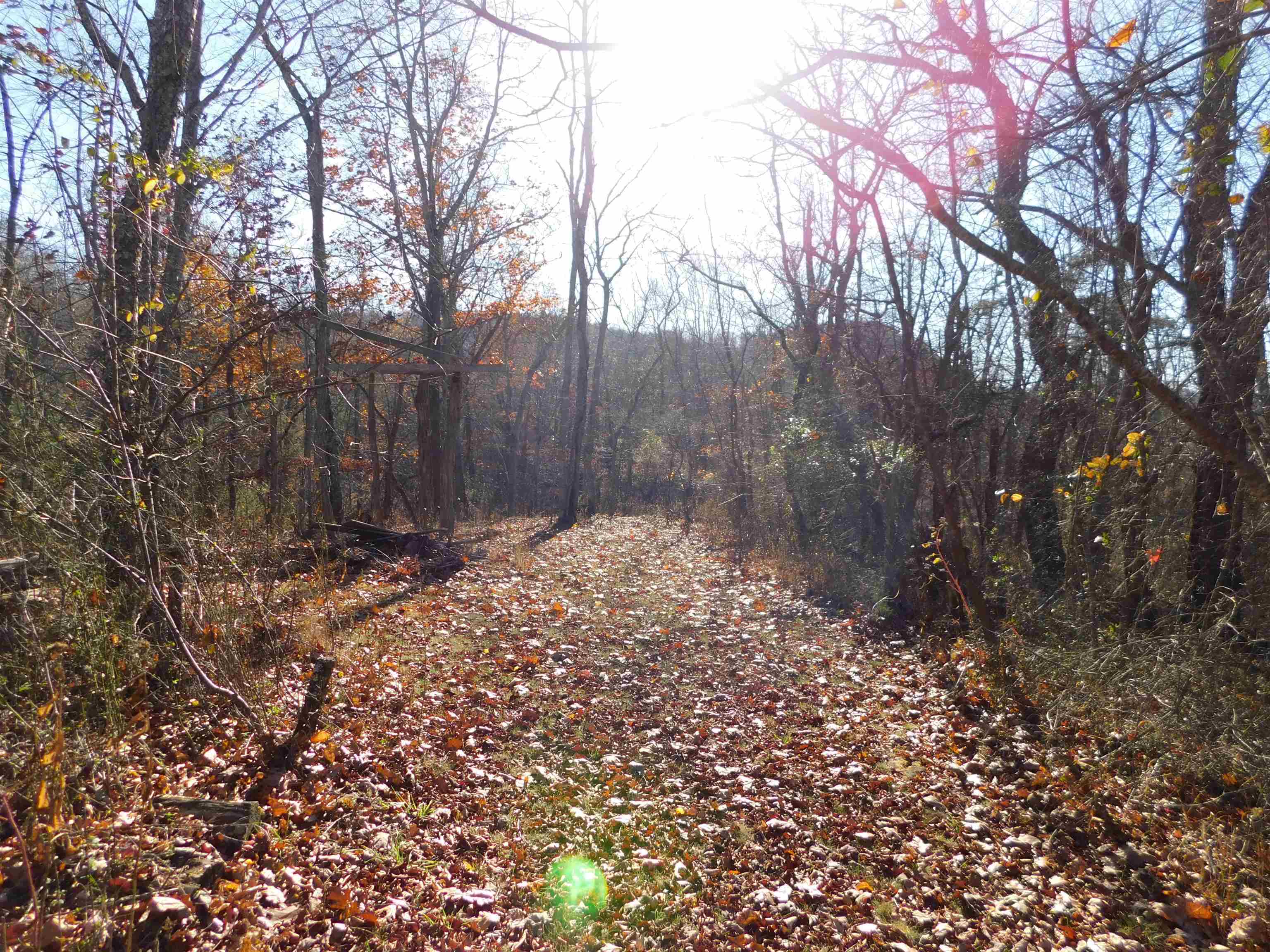 3525 Big Branch Road Riner, VA 24149 - Photo 2 of 8 Gallery Image 2
