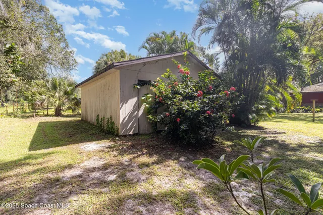 a view of a yard with plants and trees
