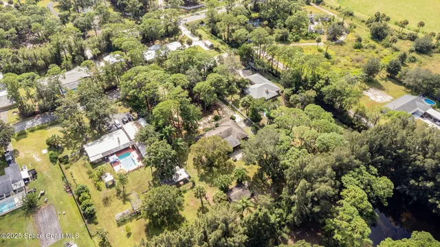 a view of a tree with a plant