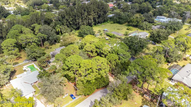 a view of a yard with plants