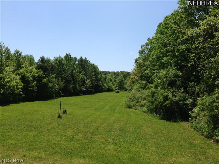 16353 Moseley Road Thompson, OH 44086 - Photo 18 of 20