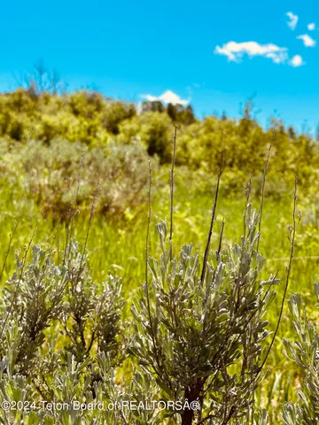 $260,000 | Marten Place, Alpine, WY 83128