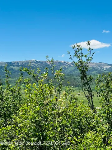 $260,000 | Marten Place, Alpine, WY 83128