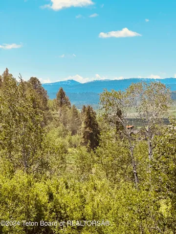 $260,000 | Marten Place, Alpine, WY 83128