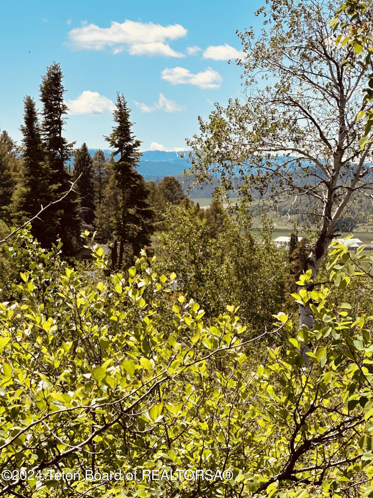 Marten Place Alpine, WY 83128 - Photo 3 of 13 IMG_7973