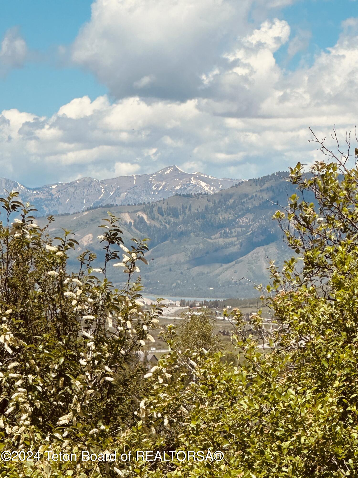 Marten Place Alpine, WY 83128 - Photo 4 of 13 IMG_7971