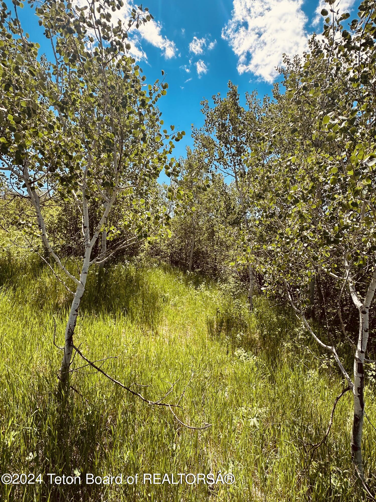 Marten Place Alpine, WY 83128 - Photo 5 of 13 IMG_7968