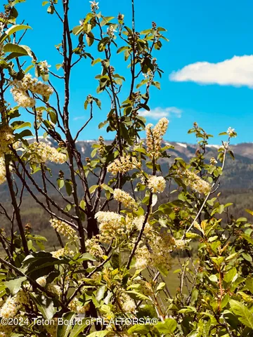 $260,000 | Marten Place, Alpine, WY 83128