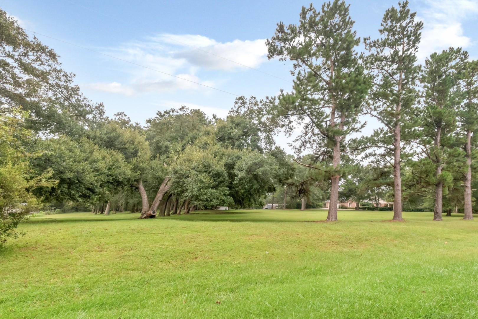 19108 Rada Road Silverhill, AL 36576 - Photo 11 of 11 Yard