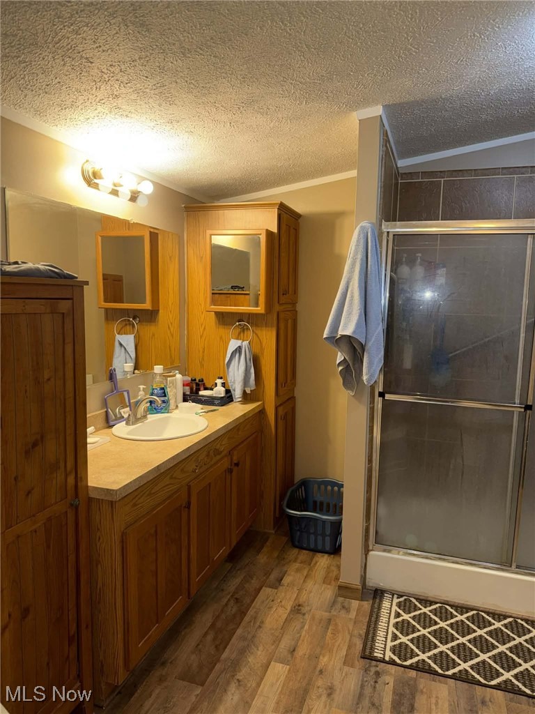 56 3rd Street Rayland, OH 43943 - Photo 31 of 46 Bathroom with vanity, ornamental molding, dark wood finished floors, a shower stall, and a textured ceiling