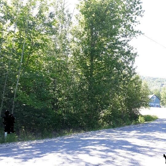 Lot #10 Glover Road Rumford, ME 04276 - Photo 5 of 6 !lot near Black Mountain SKi