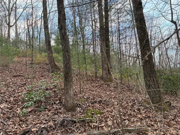 $59,900 | 0 Chestnut Mountain Road, Reliance, TN 37369