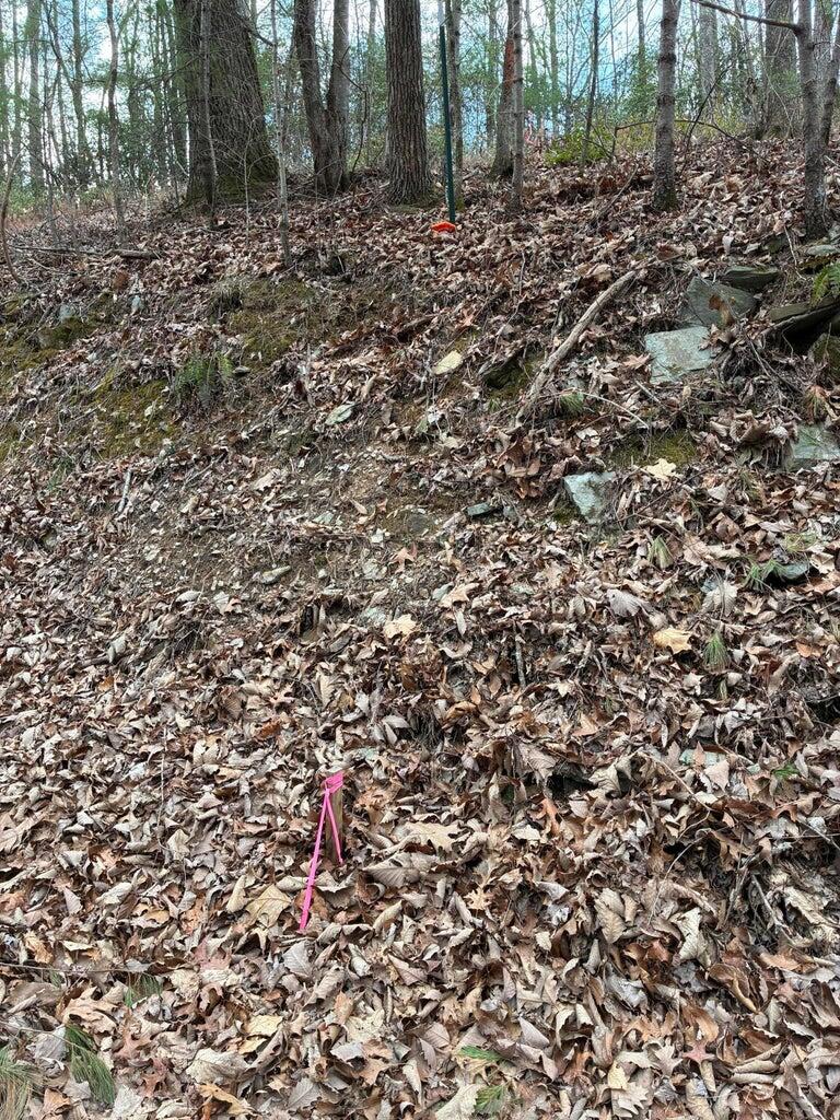 0 Chestnut Mountain Road Reliance, TN 37369 - Photo 3 of 9 CHESTNUT5