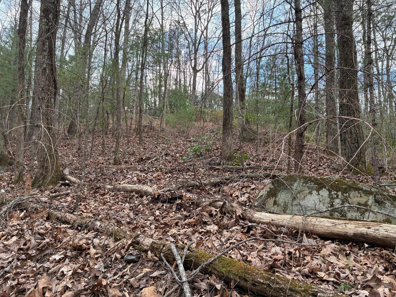 0 Chestnut Mountain Road Reliance, TN 37369 - Photo 5 of 9 CHESTNUT6