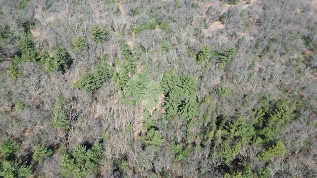 $279,000 | 253 West Crystal Lake Road, Twin Lake, MI 49457