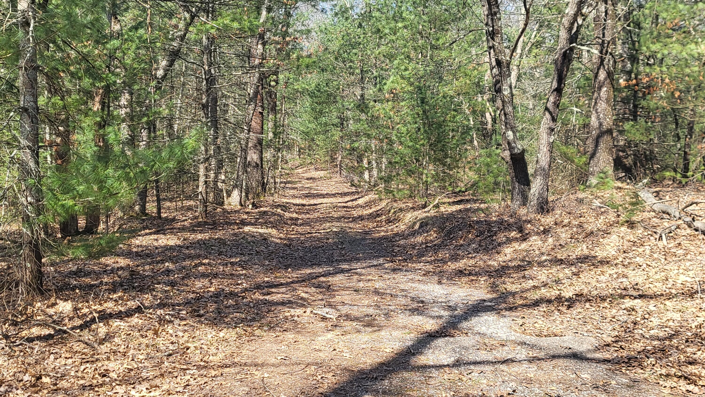 253 West Crystal Lake Road Twin Lake, MI 49457 - Photo 29 of 39 20250417_113034