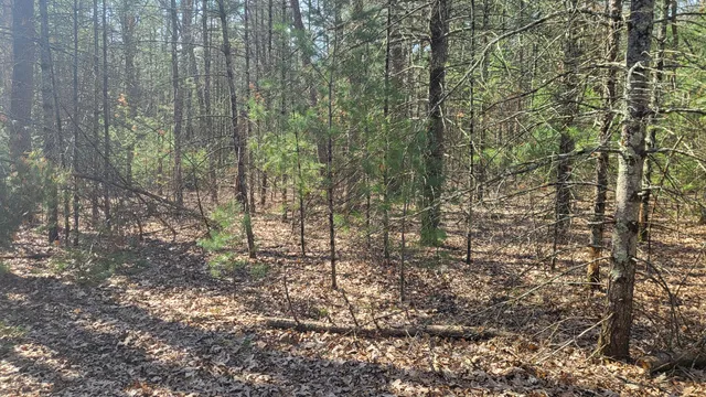 $279,000 | 253 West Crystal Lake Road, Twin Lake, MI 49457