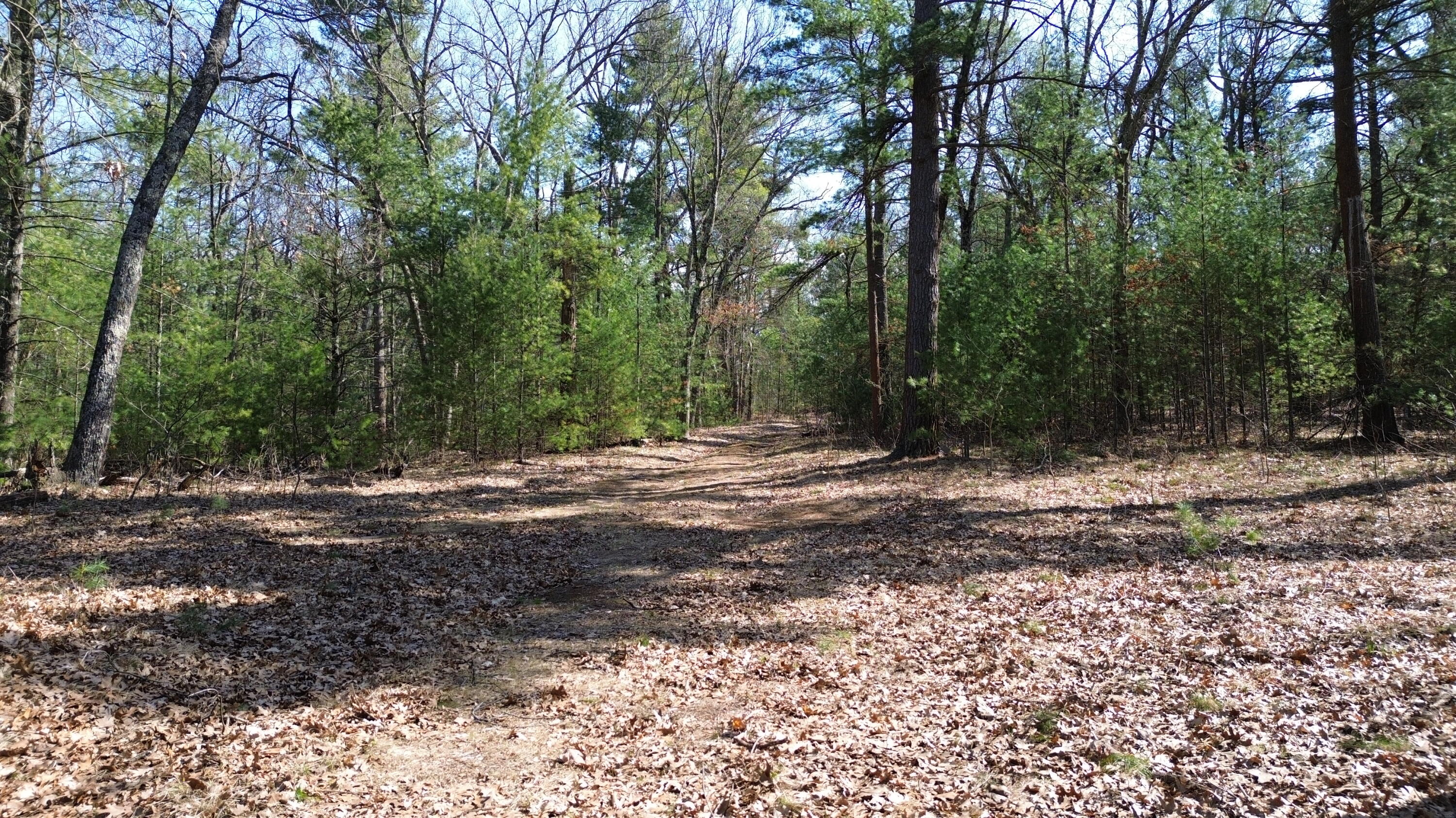 253 West Crystal Lake Road Twin Lake, MI 49457 - Photo 31 of 39 DJI_0398