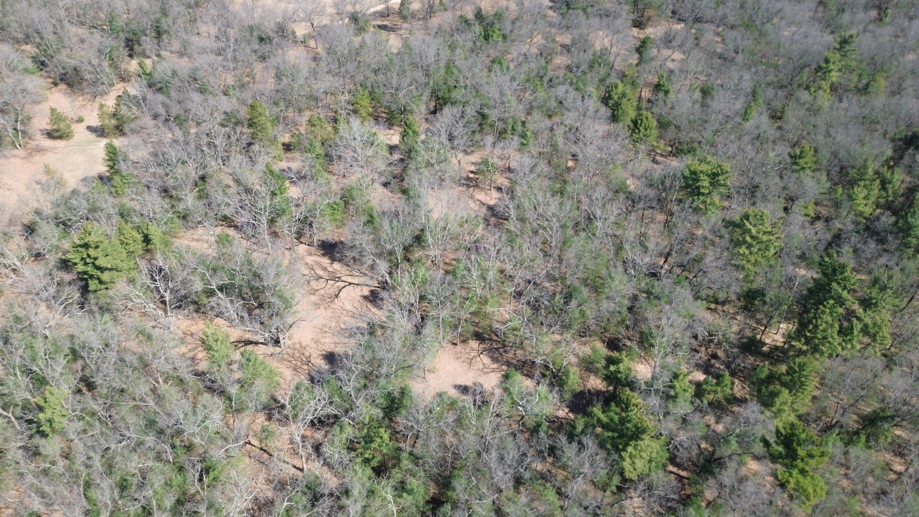 253 West Crystal Lake Road Twin Lake, MI 49457 - Photo 32 of 39 DJI_0408