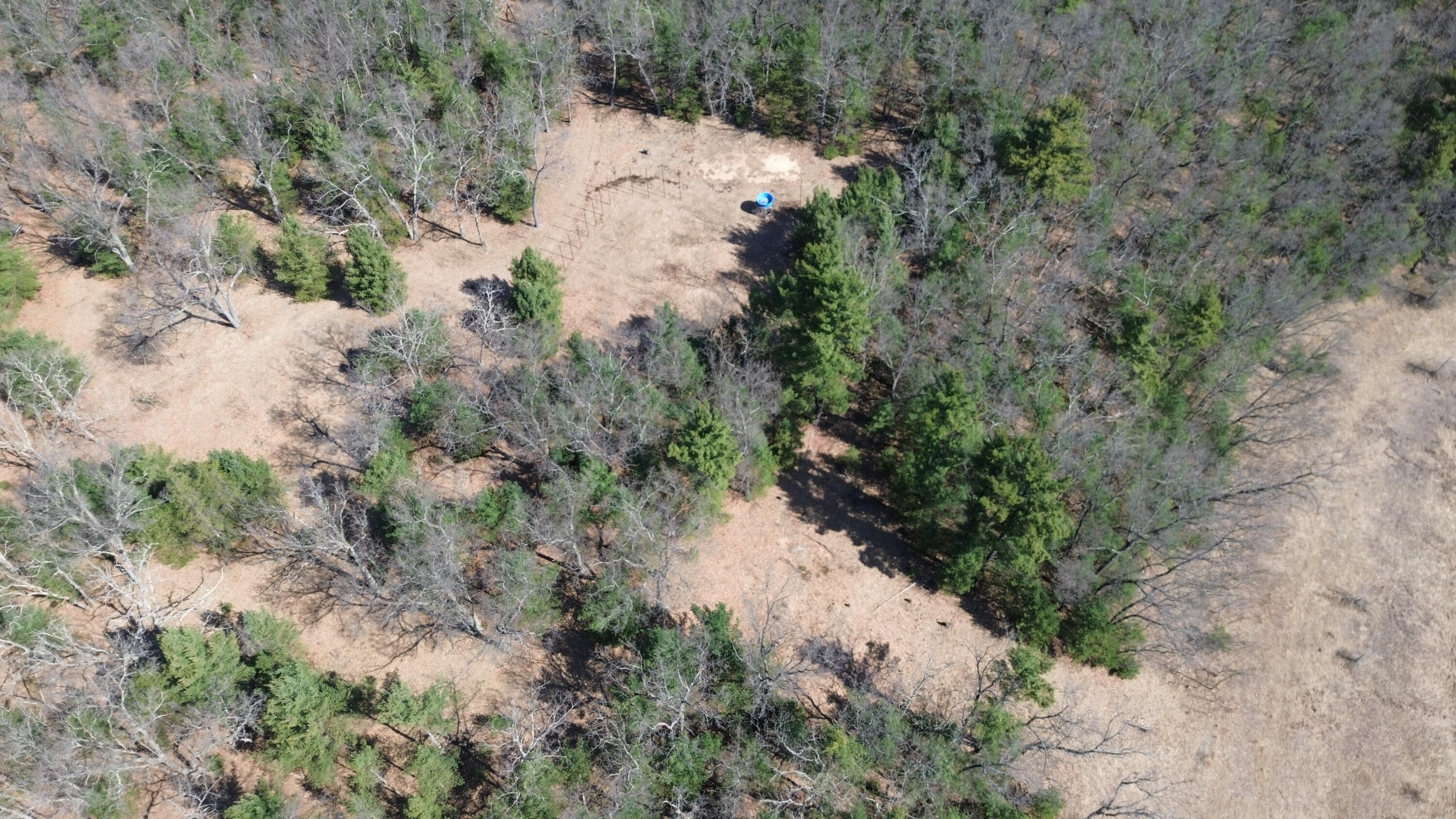 253 West Crystal Lake Road Twin Lake, MI 49457 - Photo 35 of 39 DJI_0407