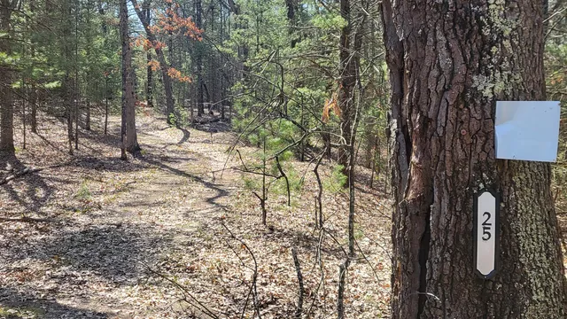 $279,000 | 253 West Crystal Lake Road, Twin Lake, MI 49457