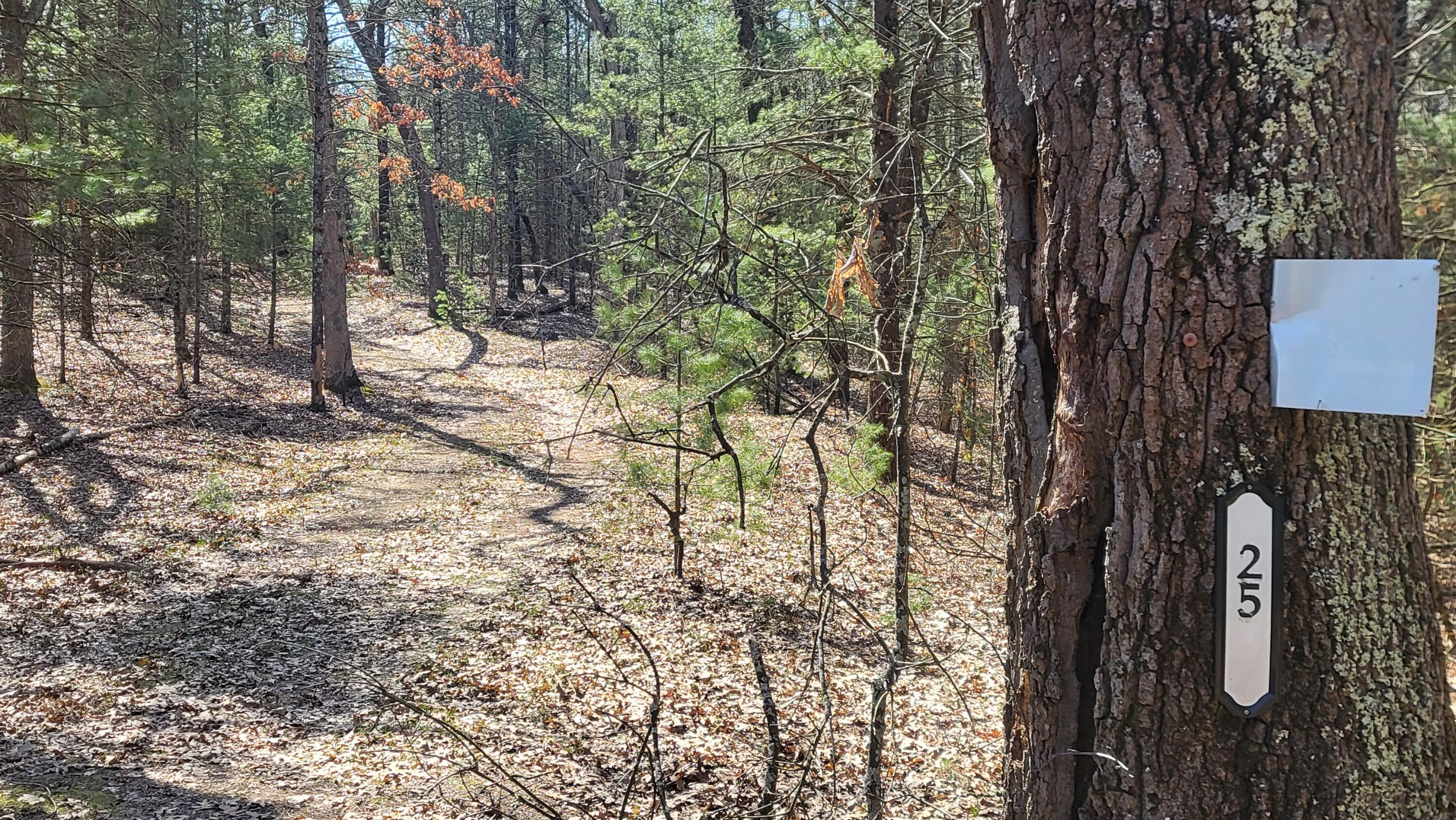 253 West Crystal Lake Road Twin Lake, MI 49457 - Photo 5 of 39 20250417_113027