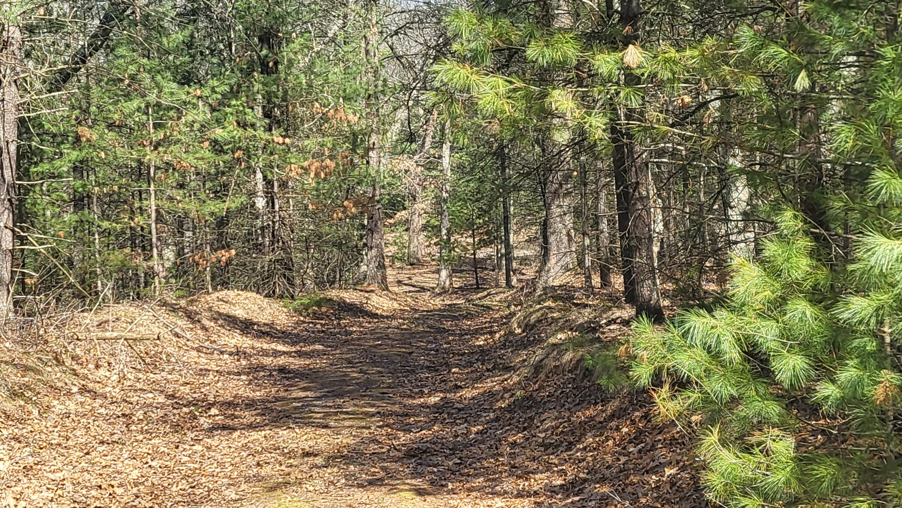 253 West Crystal Lake Road Twin Lake, MI 49457 - Photo 6 of 39 20250417_112931