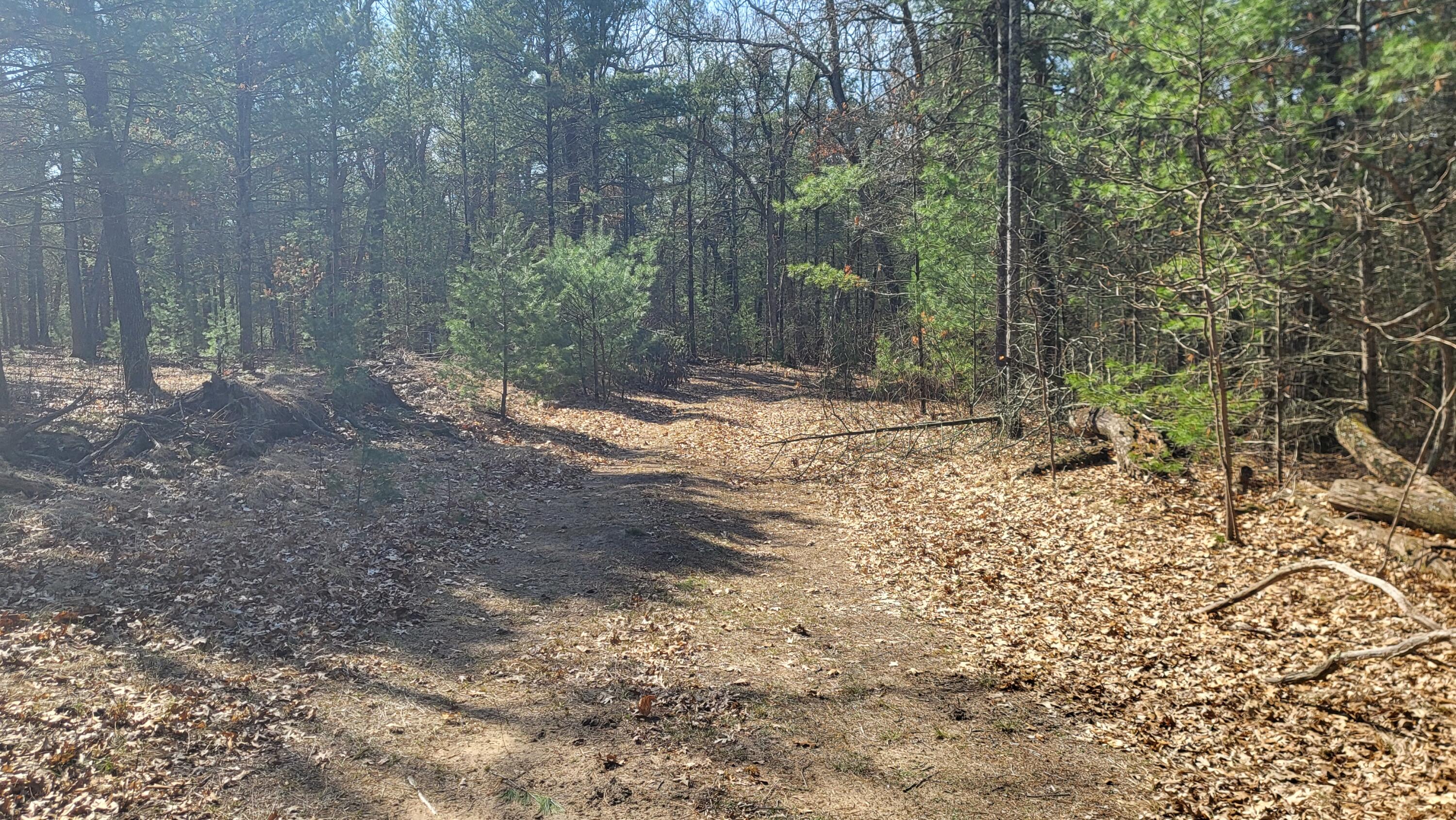 253 West Crystal Lake Road Twin Lake, MI 49457 - Photo 7 of 39 20250417_112915