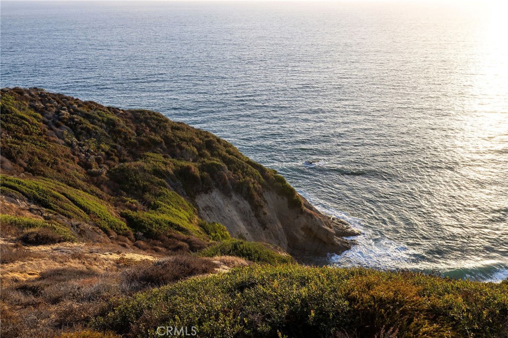 34385 Dana Strand Road, Unit B Dana Point, CA 92629 - Photo 44 of 45