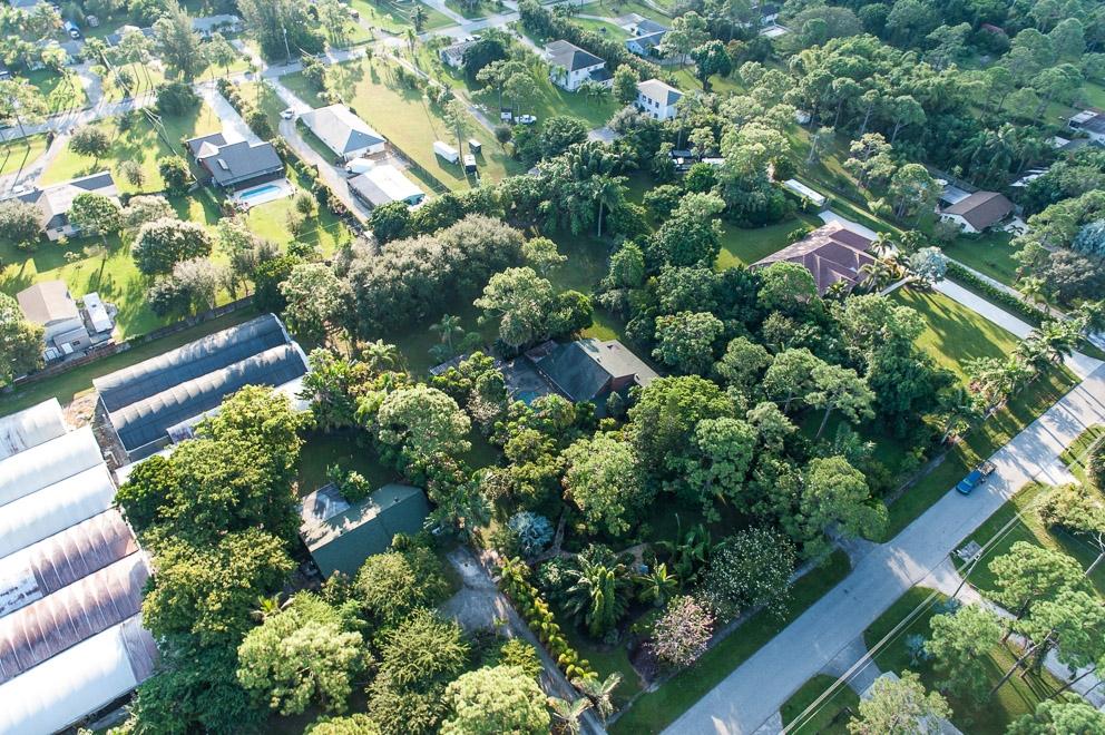 Aerial Shot