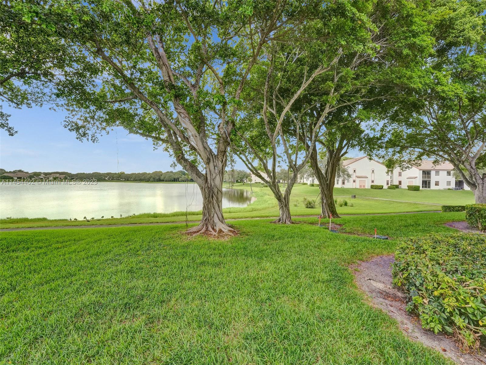 321 Olivewood Place, Unit O221 Boca Raton, FL 33431 - Photo 46 of 56 a view of a trees with a yard