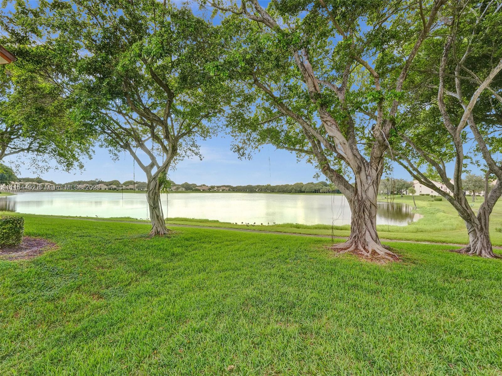 321 Olivewood Place, Unit O221 Boca Raton, FL 33431 - Photo 5 of 56 a view of a garden with a tree