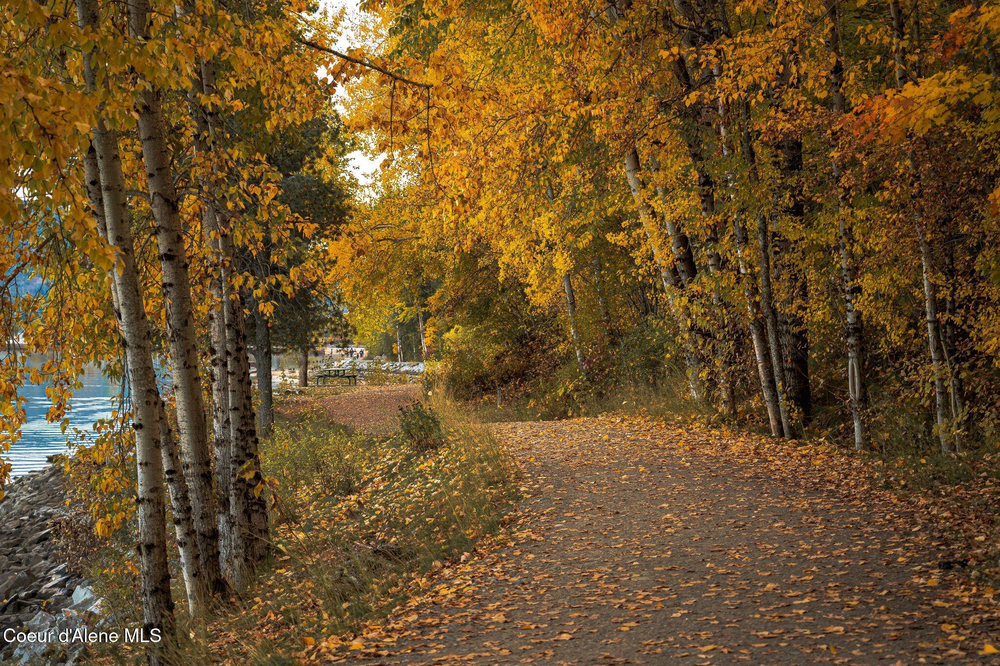 802 Sandpoint Avenue, Unit 8307 Sandpoint, ID 83864 - Photo 65 of 104 26_Baytrailstock-5