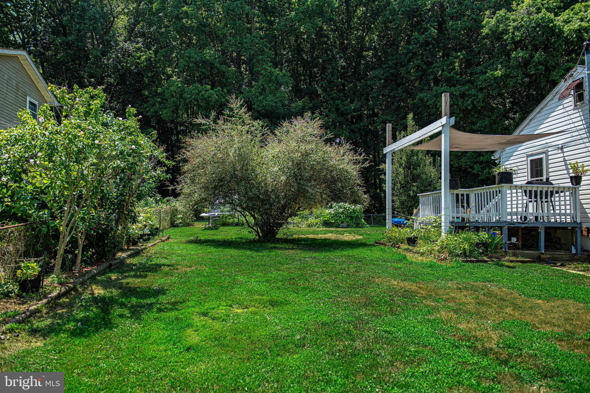 1563 Carpenters Point Road Perryville, MD 21903 - Photo 15 of 39 SIDE YARD BACKVIEW