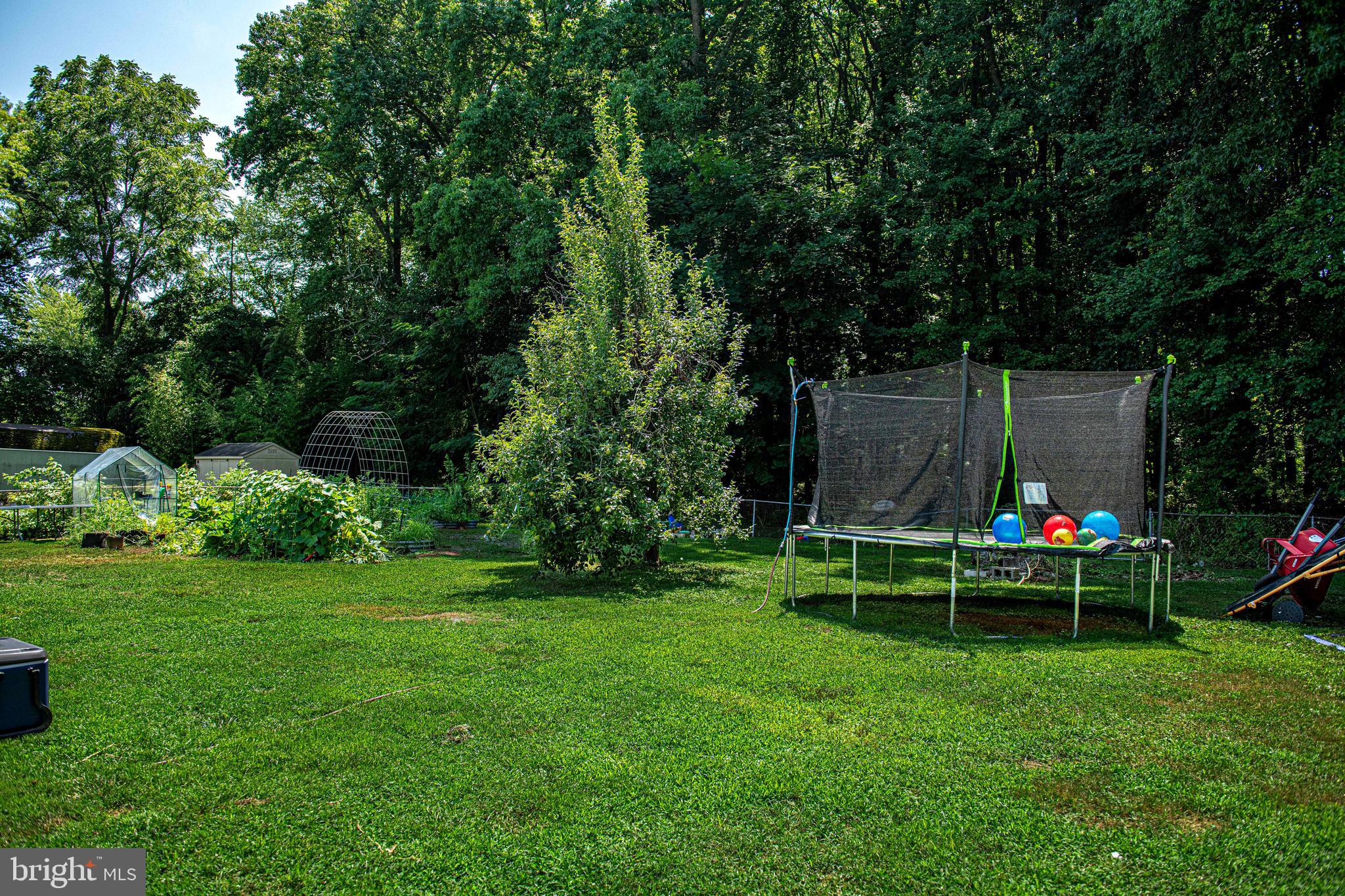 1563 Carpenters Point Road Perryville, MD 21903 - Photo 29 of 39 PRIVATE BACKYARD