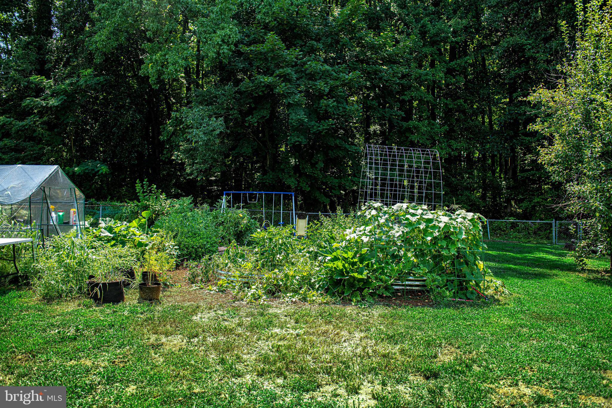 1563 Carpenters Point Road Perryville, MD 21903 - Photo 30 of 39 VEGGIE GARDEN BACKYARD