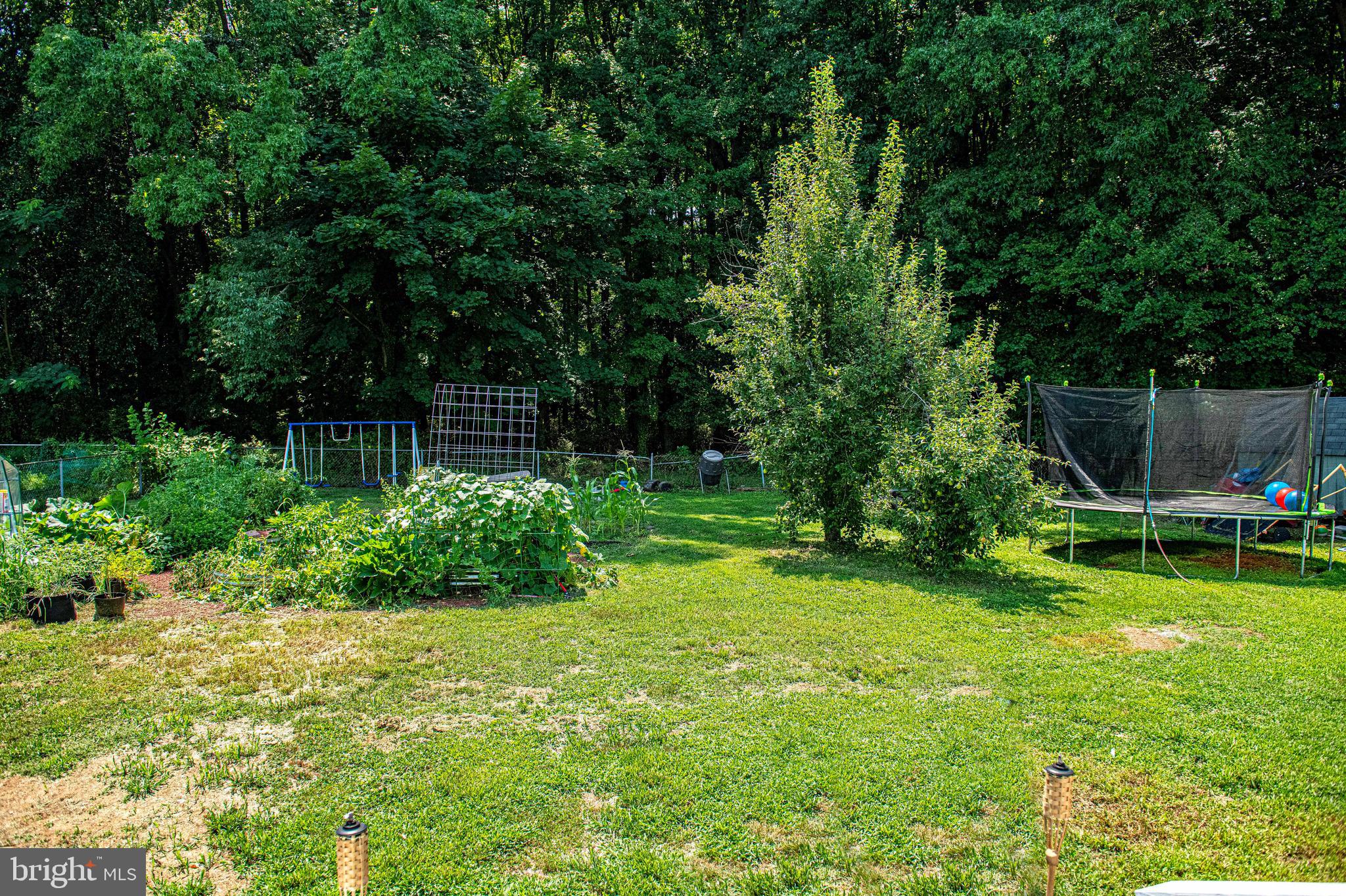1563 Carpenters Point Road Perryville, MD 21903 - Photo 31 of 39 BACKYARD