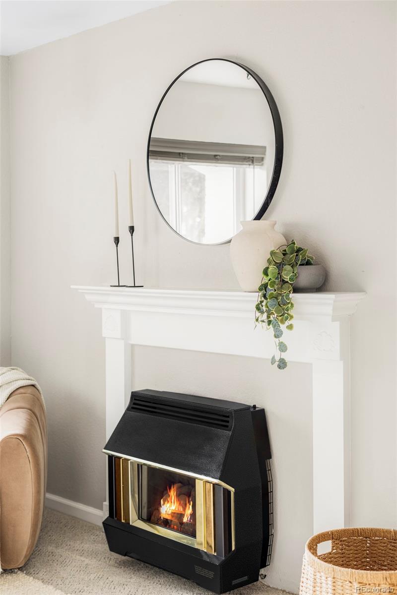 3406 South Stuart Street Denver, CO 80236 - Photo 6 of 34 a living room with a fireplace and a potted plant