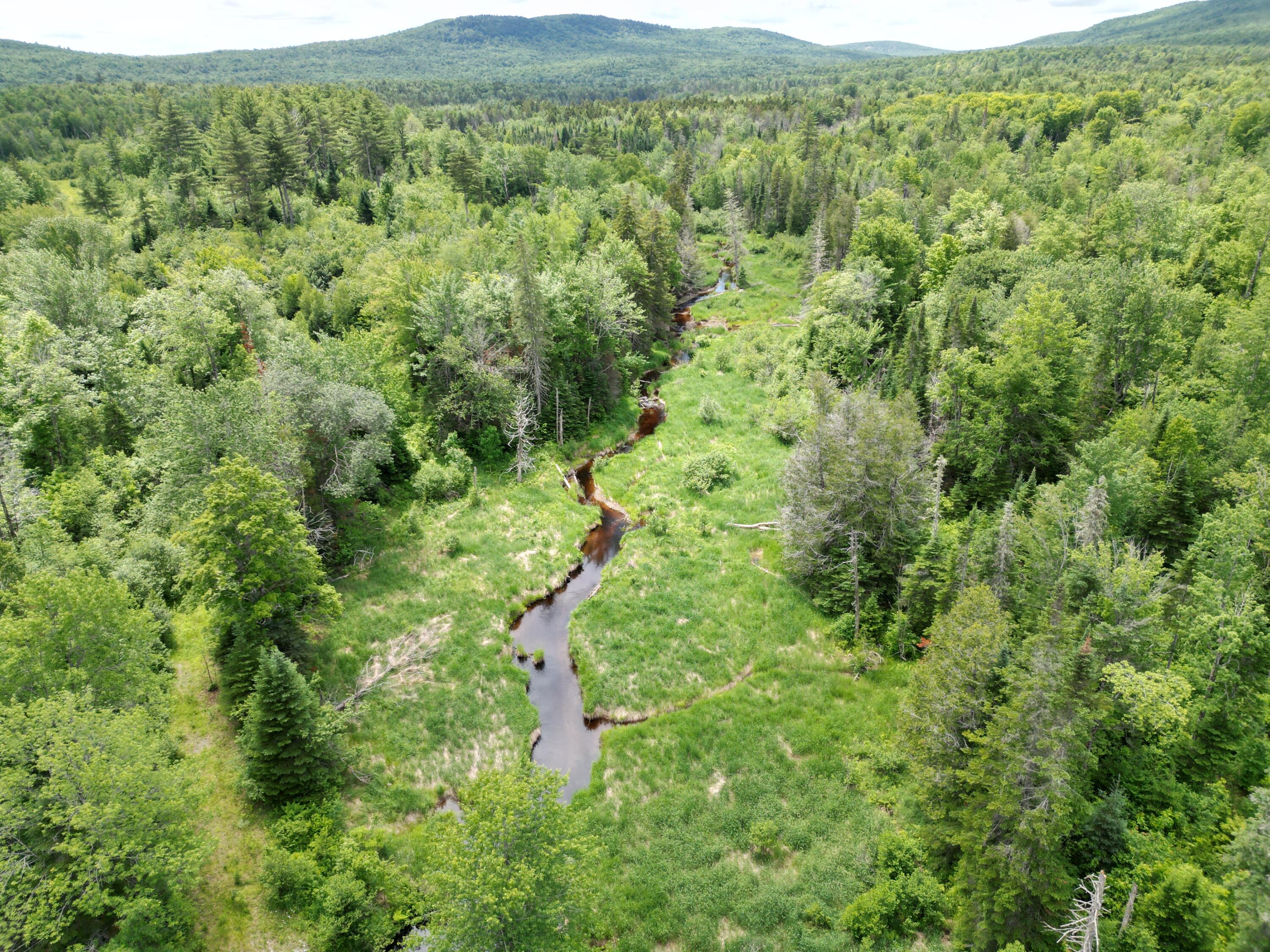 Lot 2 Main Road Carroll Plt, ME 04487 - Photo 2 of 14 DJI_0758