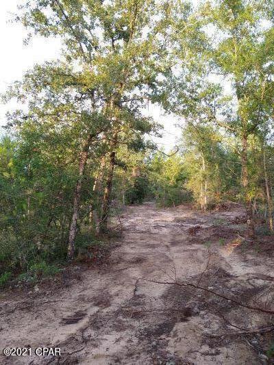0 Northwest Walter Potts Road, Unit PARCEL 2 Altha, FL 32421 - Photo 5 of 7 Gallery Image 5
